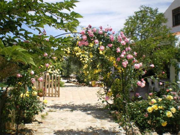 Cazorla-alcon * Pozo Alcon
