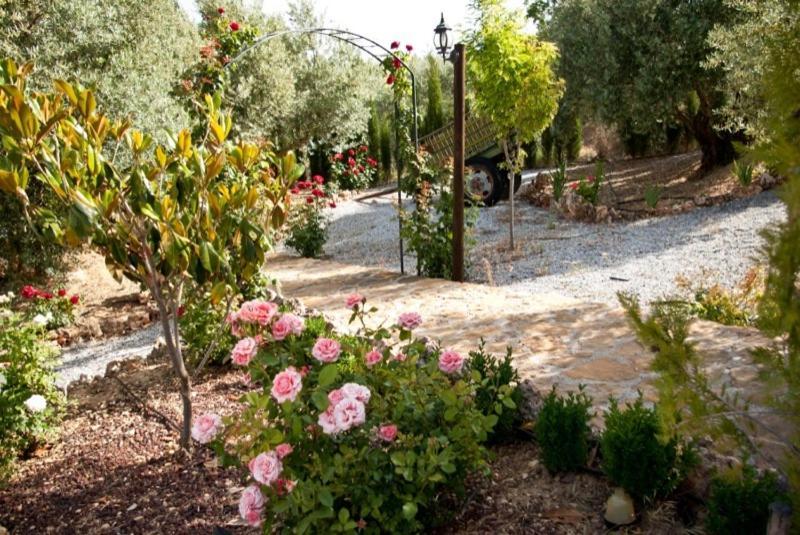 Country house Cazorla-alcon