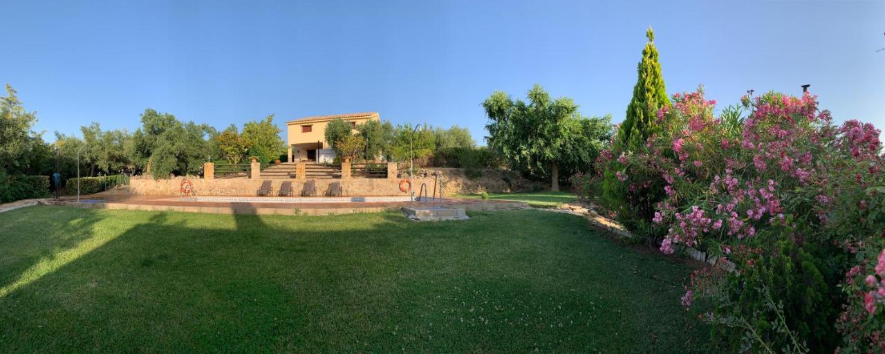 Cazorla-alcon Pozo Alcon