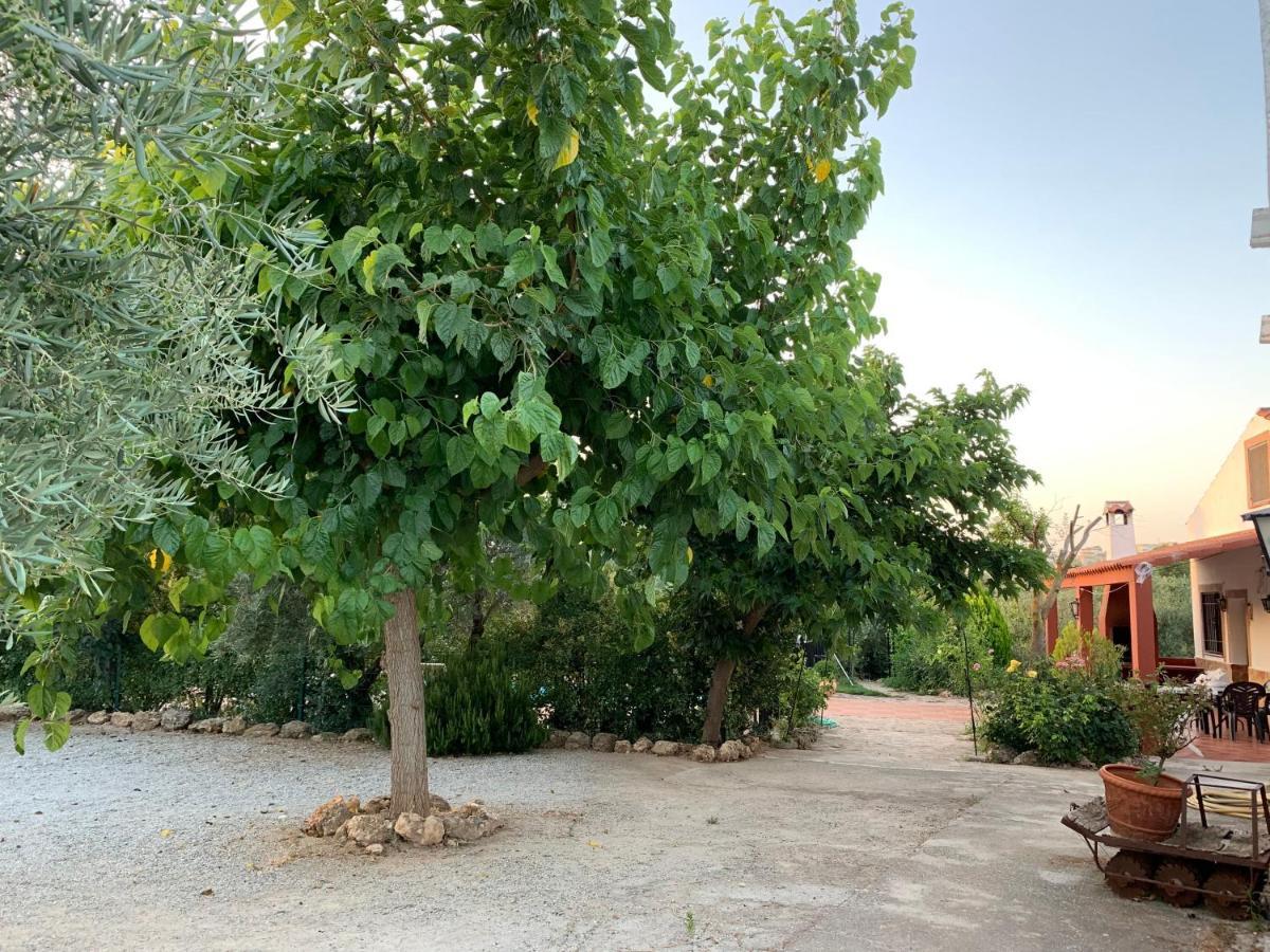 Cazorla-alcon * Pozo Alcon