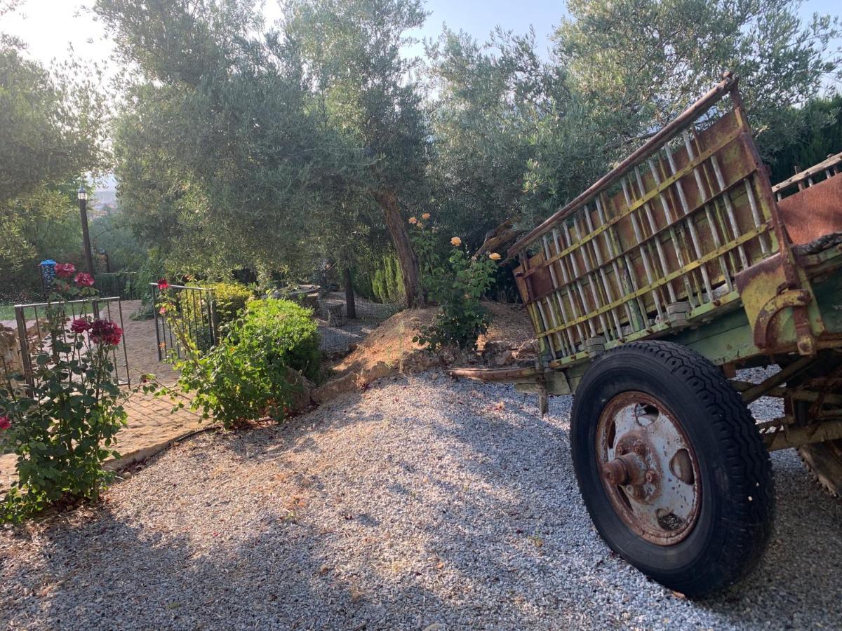 Country house Cazorla-alcon *
