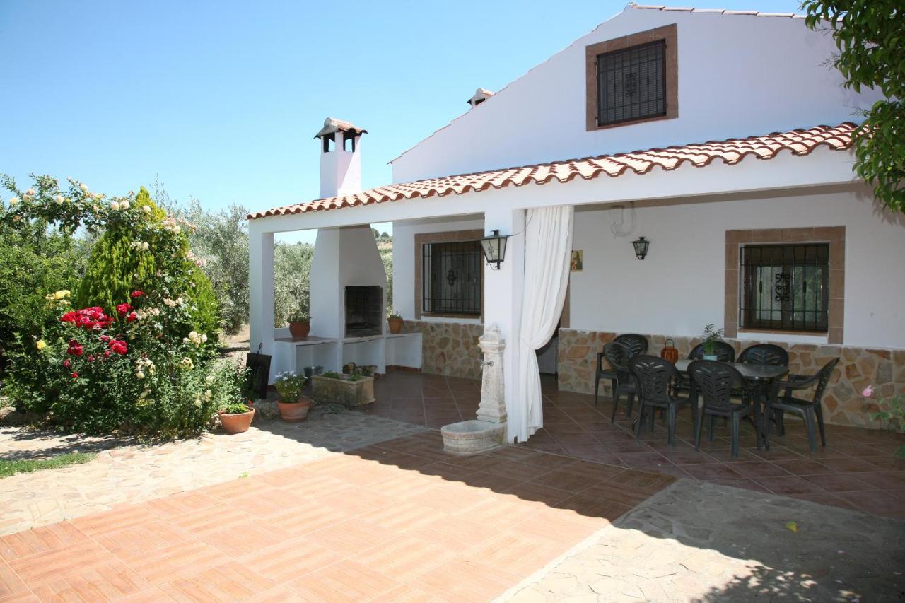 Cazorla-alcon *