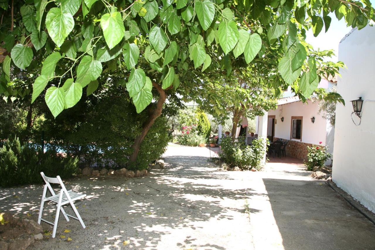 Cazorla-alcon