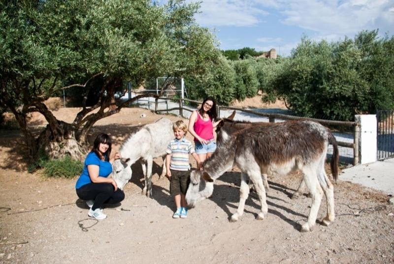 Country house Cazorla-alcon *